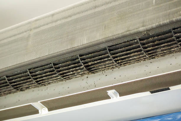 Best Air Duct Cleaning Near Me  in Mccord, OK